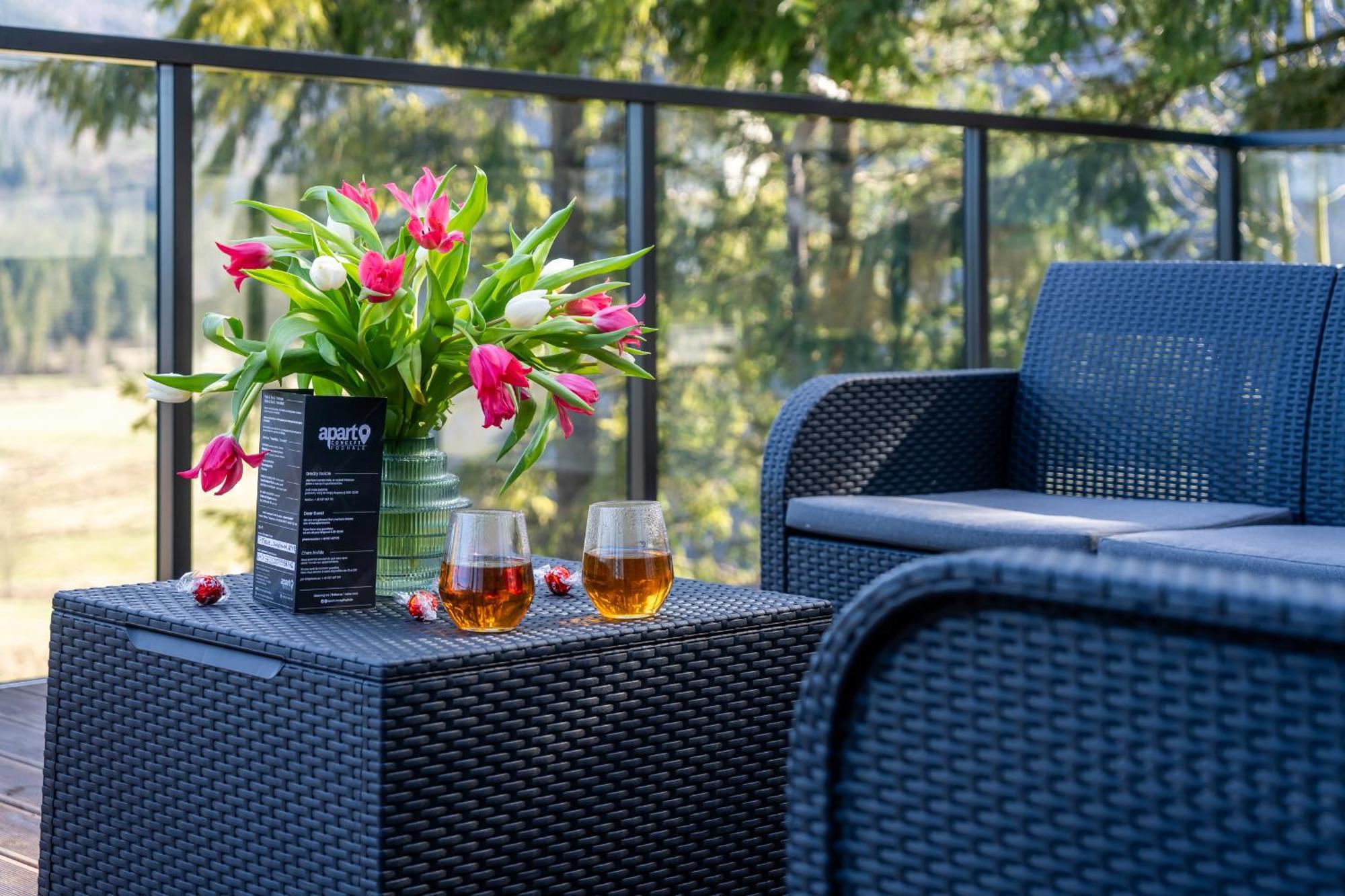 Apartament Widokowe Polany By Apart Concept Podhale Koscielisko Luaran gambar